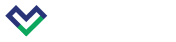 Venwiz logo layer 1