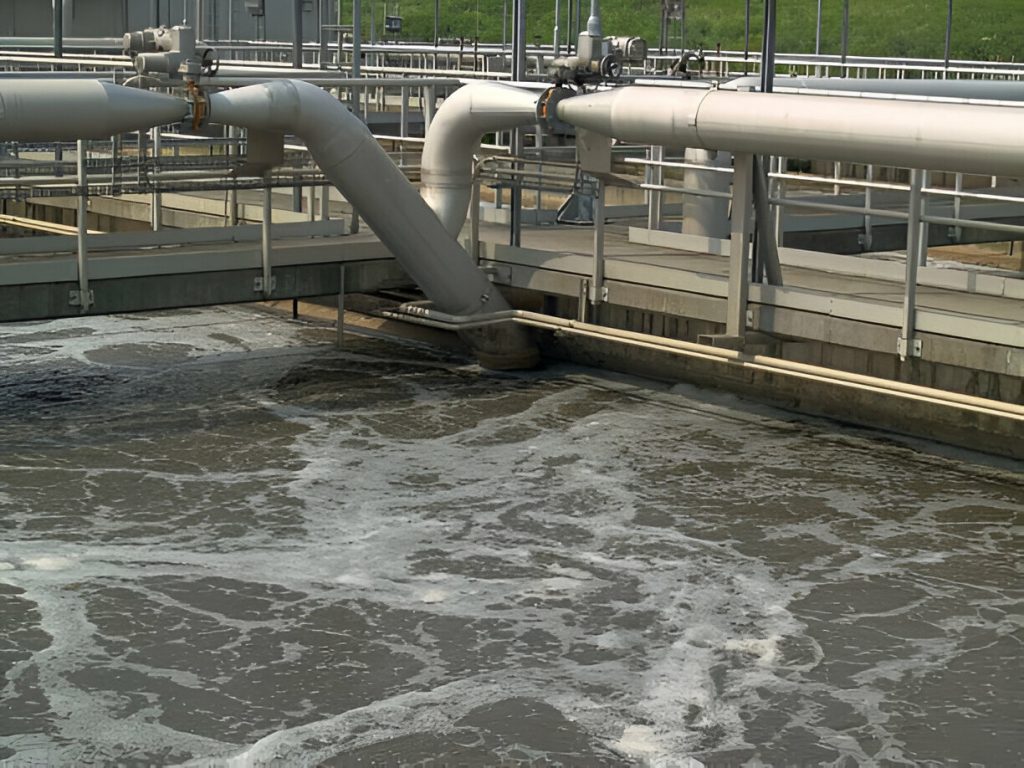 Activated Sludge Process (ASP)